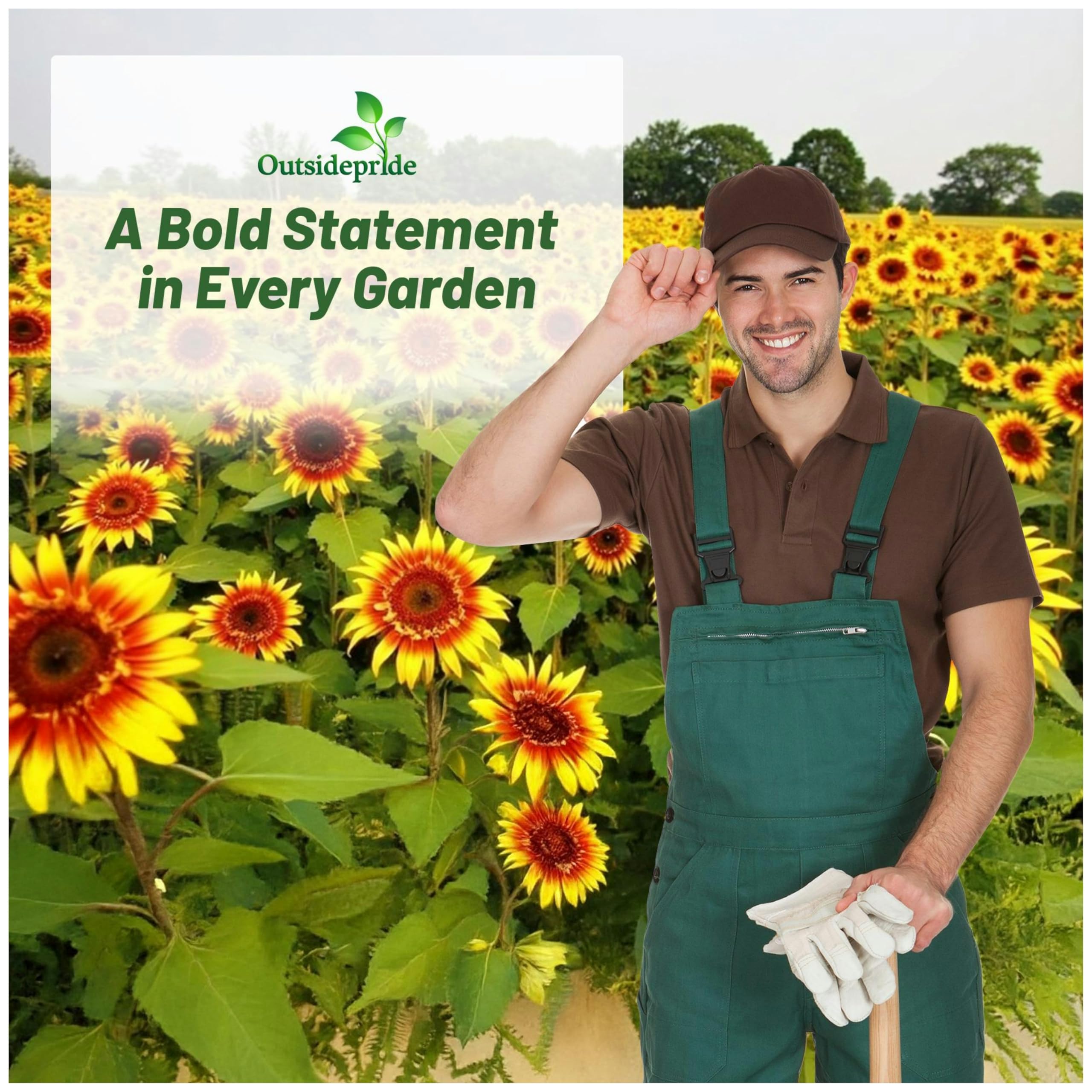 Amazon.com : Outsidepride Joker Sunflower Seeds for Planting - 100